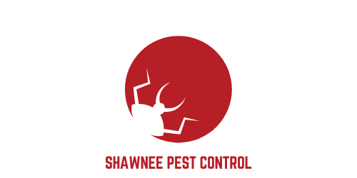 Shawnee pest control pros