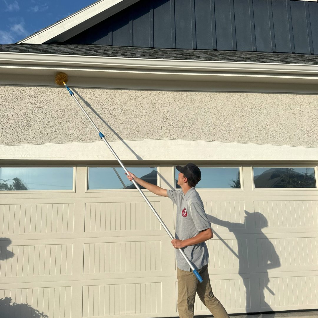 pest-control-kansas-city